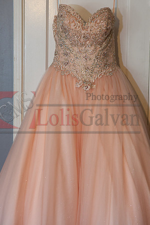 Anahi Felix Mis Quince Event R_0002