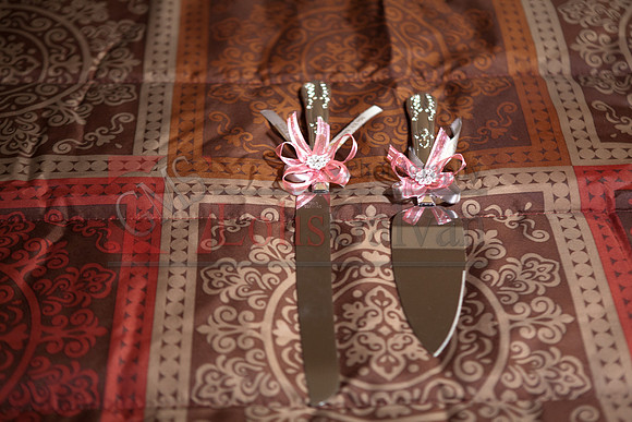 Anahi Felix Mis Quince Event R_0015