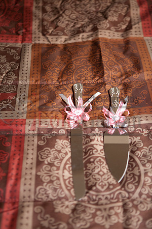 Anahi Felix Mis Quince Event R_0017