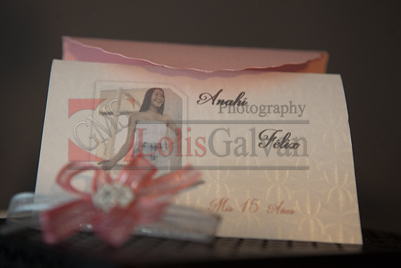 Anahi Felix Mis Quince Event R_0021