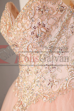 Anahi Felix Mis Quince Event R_0025