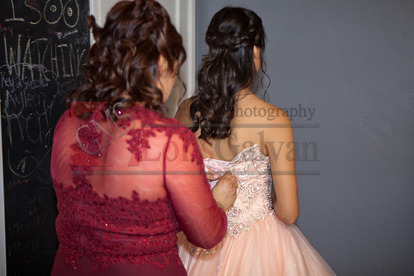 Anahi Felix Mis Quince Event R_0026
