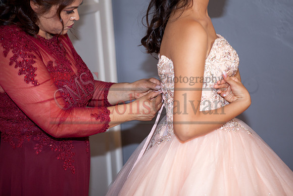 Anahi Felix Mis Quince Event R_0032