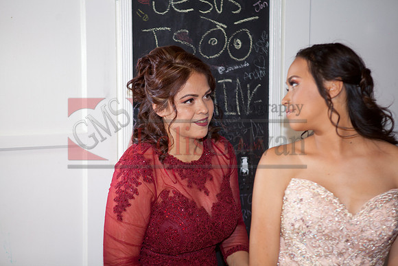 Anahi Felix Mis Quince Event R_0033