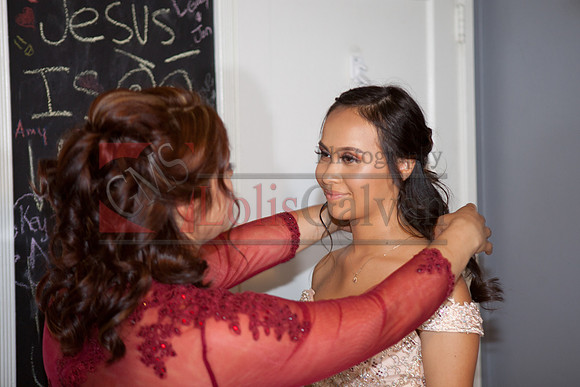 Anahi Felix Mis Quince Event R_0043