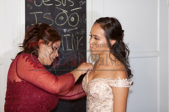 Anahi Felix Mis Quince Event R_0048