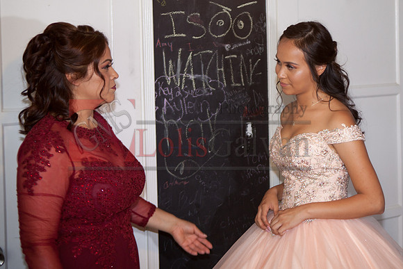 Anahi Felix Mis Quince Event R_0050
