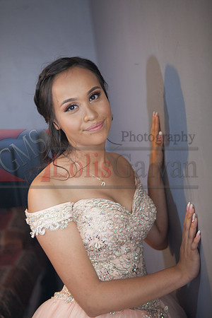 Anahi Felix Mis Quince Event R_0064