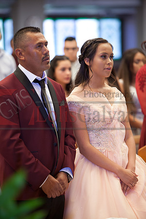 Anahi Felix Mis Quince Event R_0102