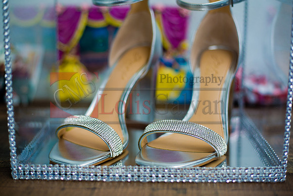 Samantha Mis Quince Event R_0005