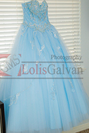 Samantha Mis Quince Event R_0002