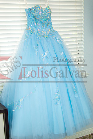 Samantha Mis Quince Event R_0003