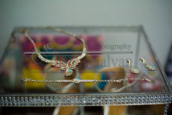 Samantha Mis Quince Event R_0007