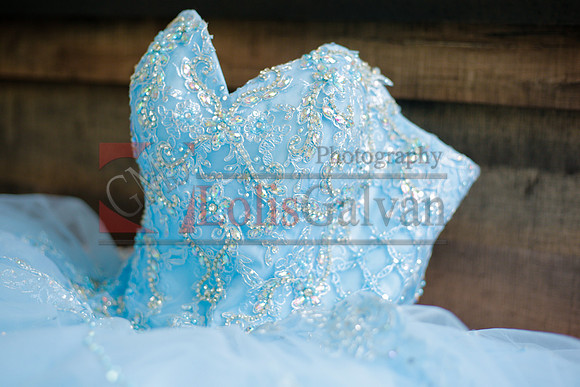 Samantha Mis Quince Event R_0018
