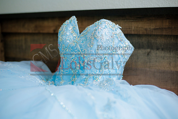 Samantha Mis Quince Event R_0019