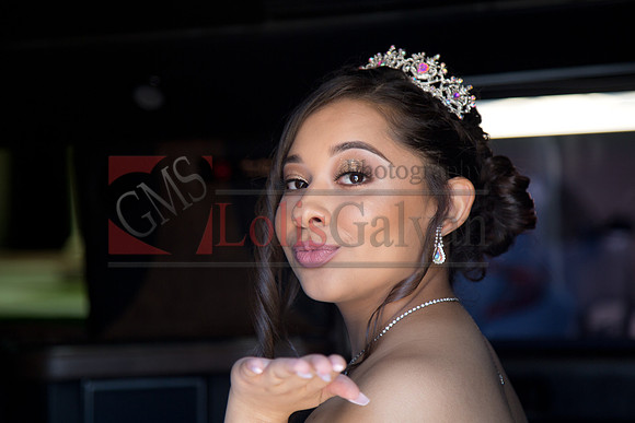 Samantha Mis Quince Event R_0153