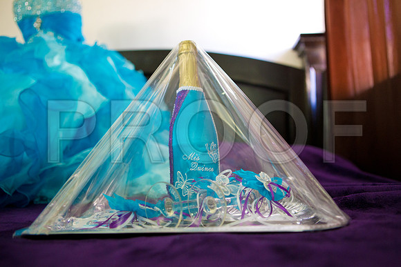 Melissa_Event_0034