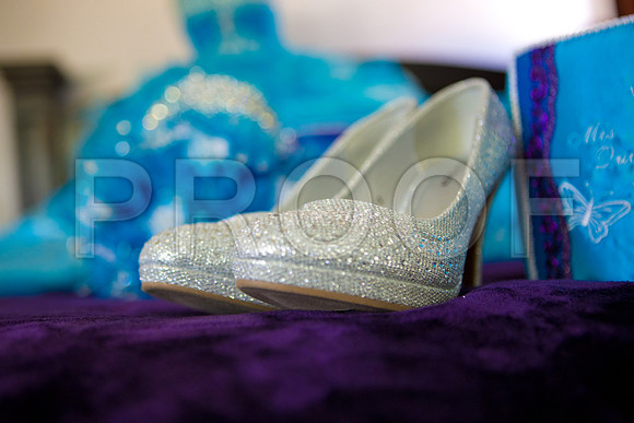 Melissa_Event_0011