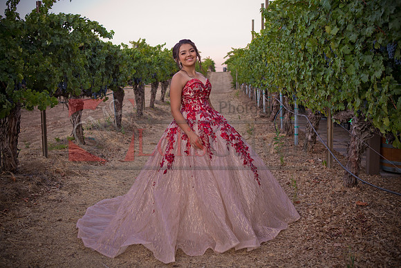 IMG_3342-Edit