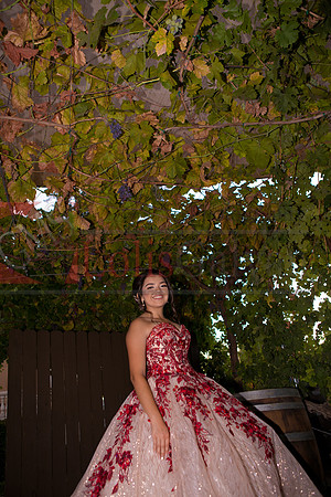 IMG_3350