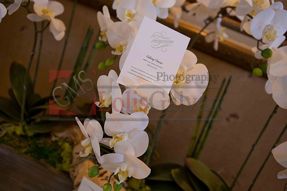 Weslie & Marissa Wedding _0022