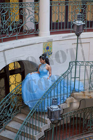 Daphne_Pre_0169