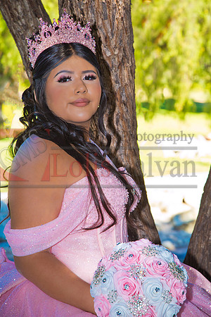 IMG_2381-Edit