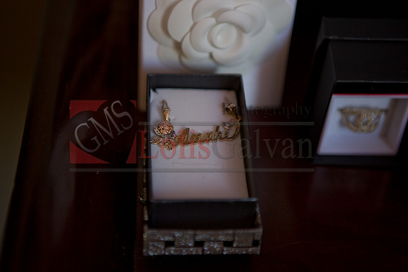 Anahi Mi Quinceanera_0015