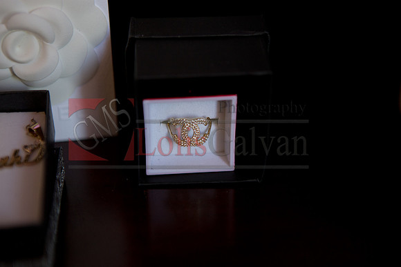 Anahi Mi Quinceanera_0017