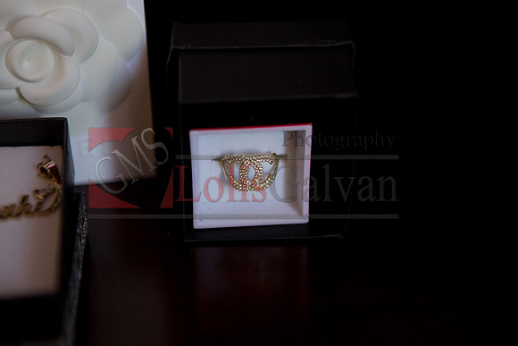 Anahi Mi Quinceanera_0018