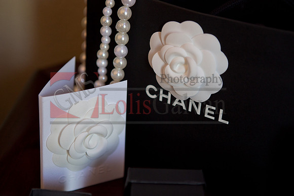 Anahi Mi Quinceanera_0020