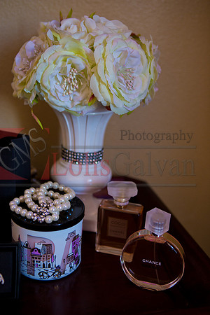 Anahi Mi Quinceanera_0021