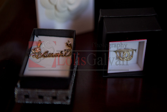 Anahi Mi Quinceanera_0044
