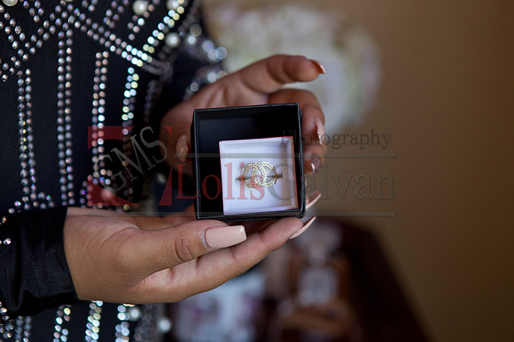 Anahi Mi Quinceanera_0060