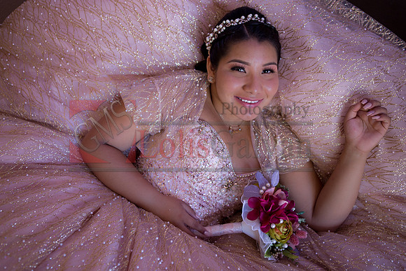 Anahi Mi Quinceanera_0097
