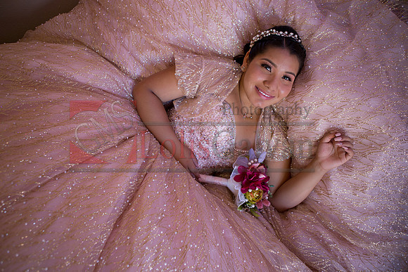 Anahi Mi Quinceanera_0099