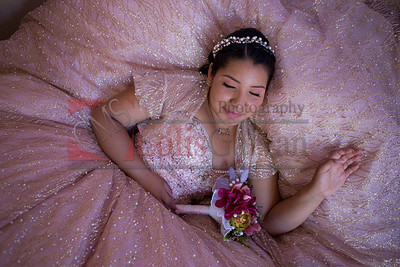 Anahi Mi Quinceanera_0102