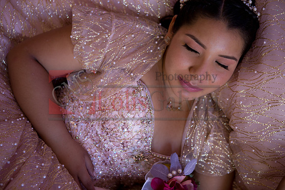 Anahi Mi Quinceanera_0104