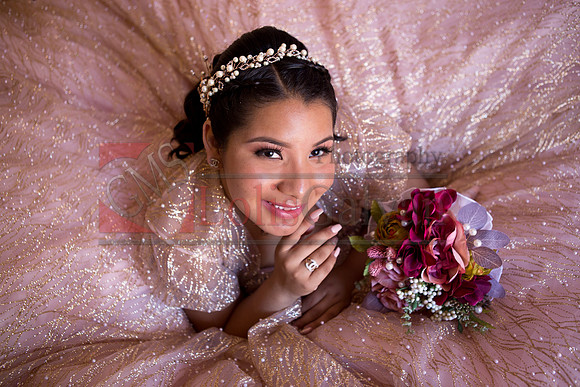 Anahi Mi Quinceanera_0127
