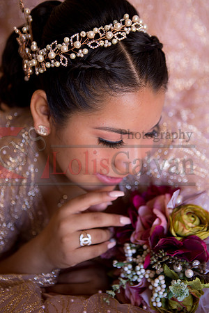 Anahi Mi Quinceanera_0134