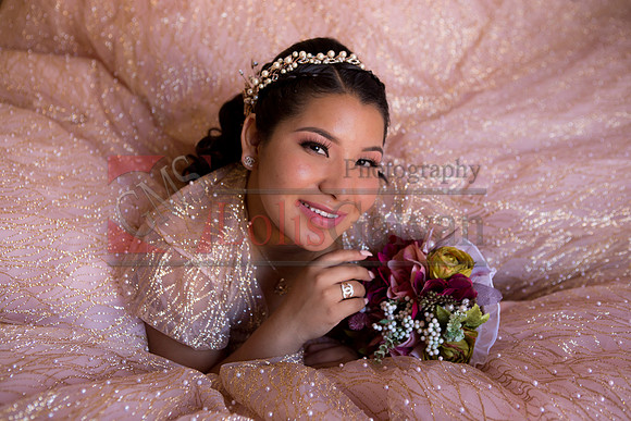 Anahi Mi Quinceanera_0138