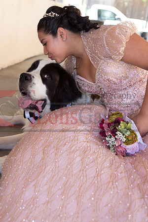Anahi Mi Quinceanera_0195