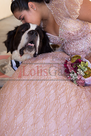 Anahi Mi Quinceanera_0197