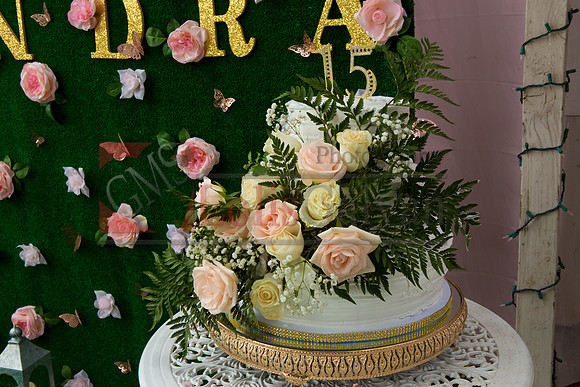 Alondra Mi Quinceanera_0003
