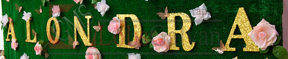 Alondra Mi Quinceanera_0005