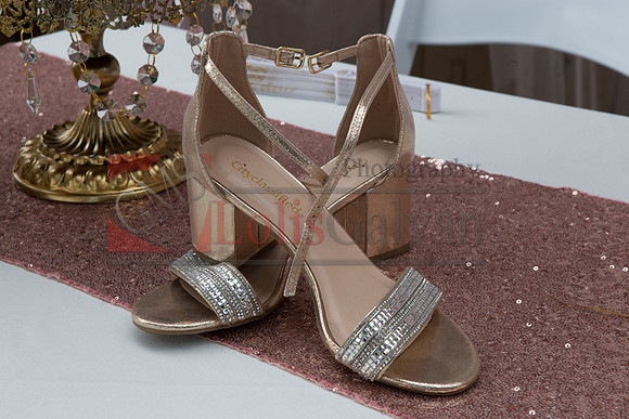 Alondra Mi Quinceanera_0006