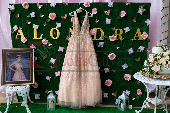 Alondra Mi Quinceanera_0009