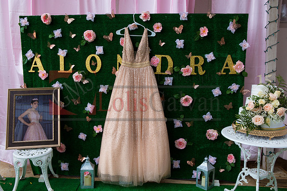 Alondra Mi Quinceanera_0010