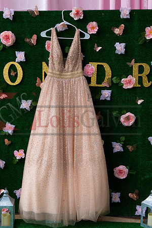 Alondra Mi Quinceanera_0011