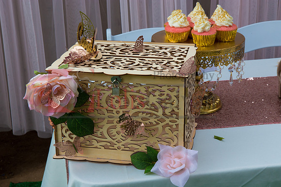 Alondra Mi Quinceanera_0012